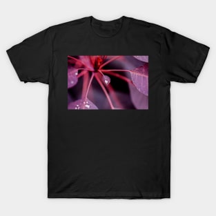 Royal Purple Smoke Bush T-Shirt